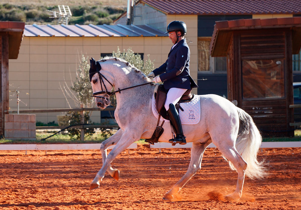 La Copa del Mundo de Doma Clásica en IFEMA MADRID HORSE WEEK