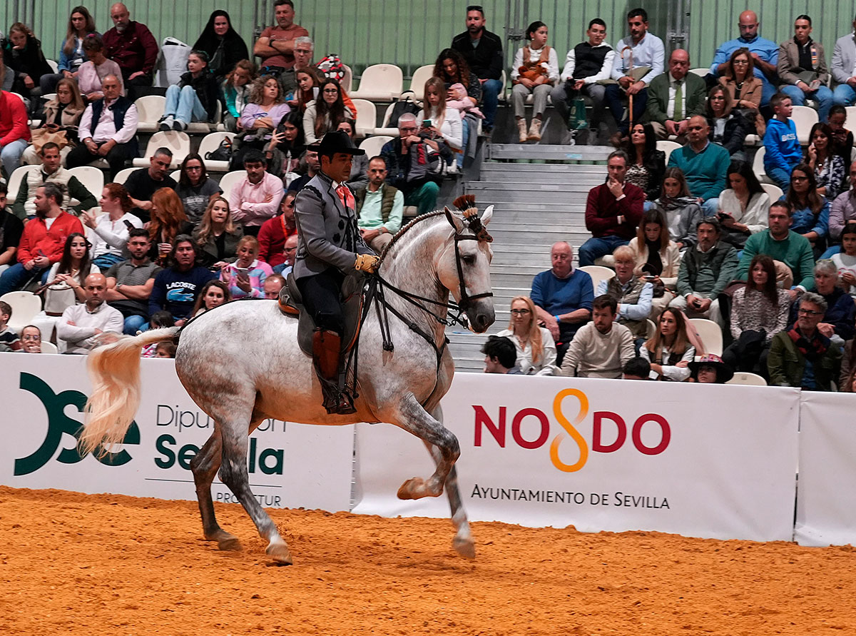 SICAB 2024. Resultados y clasificaciones.