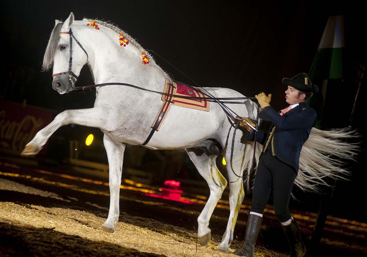 El Salón Internacional del Caballo (SICAB): Historia, Esplendor y Proyección Actual