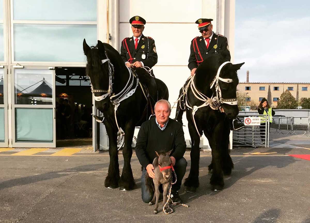 Alberto Carollo, rescató un pony, y hoy es uno de los criadores más importantes de Europa