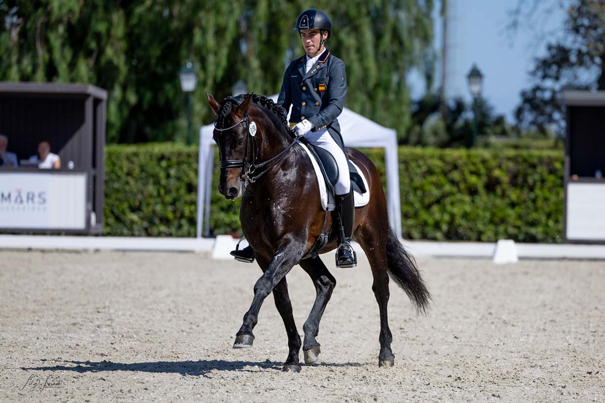 Calendario de las Pruebas de Selección de Caballos Jóvenes (PSCJ ANCCE) 2025: Un impulso para la Doma Clásica