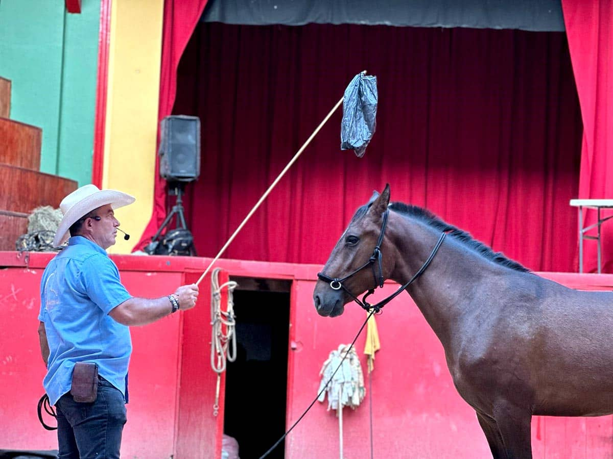 Pablo Saldarriaga: El hombre que domó el caballo más peligroso del mundo